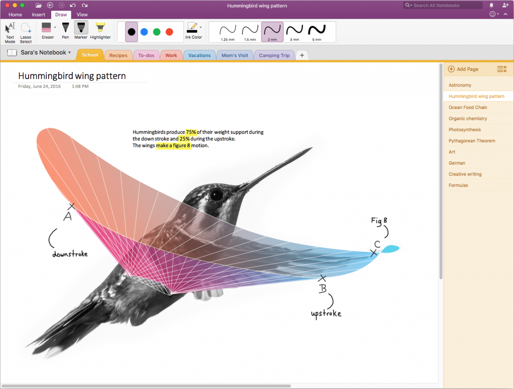 Обновления Office 365
